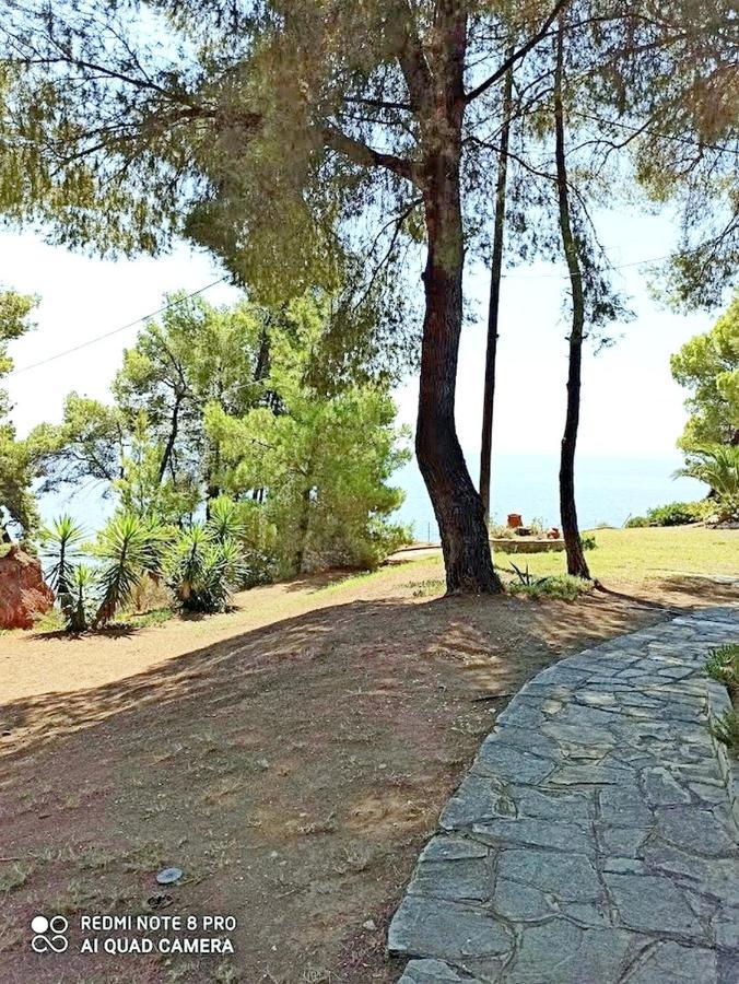 Squirrels, Home With View Metamorfosi  Buitenkant foto