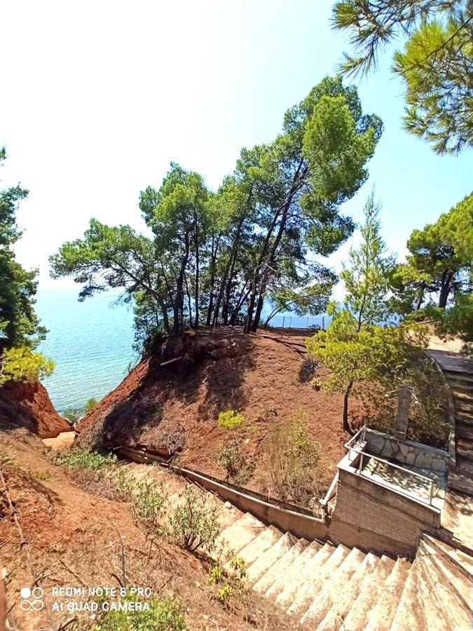 Squirrels, Home With View Metamorfosi  Buitenkant foto