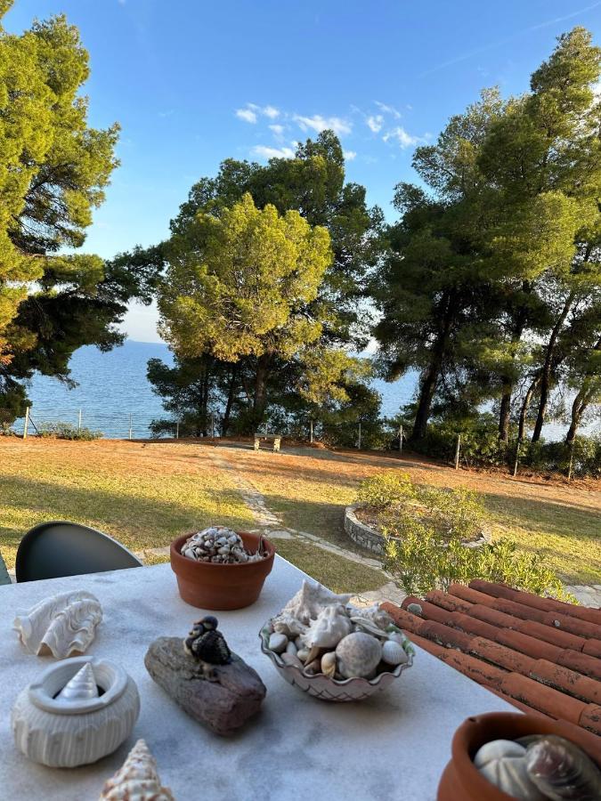 Squirrels, Home With View Metamorfosi  Buitenkant foto