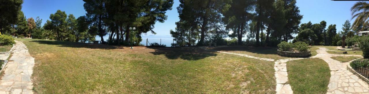 Squirrels, Home With View Metamorfosi  Buitenkant foto